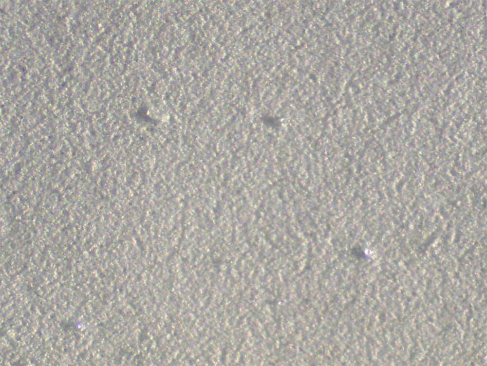 Membrane particulate count