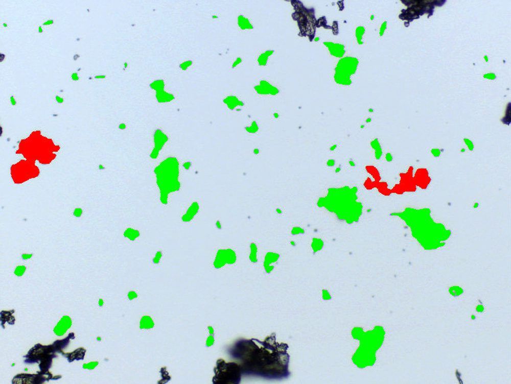 Polymer particle size analysis