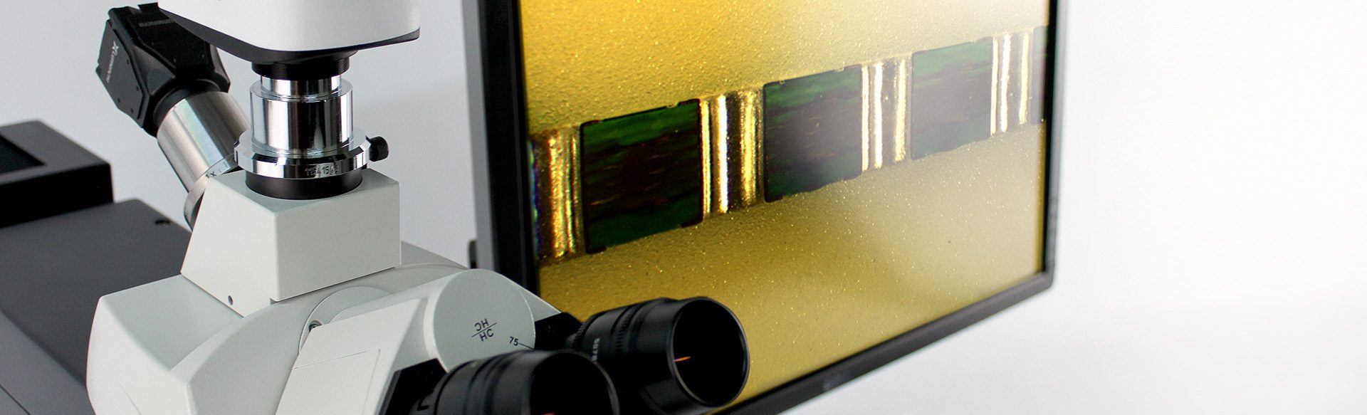 Captiva: Microscope Image Acquisition Software