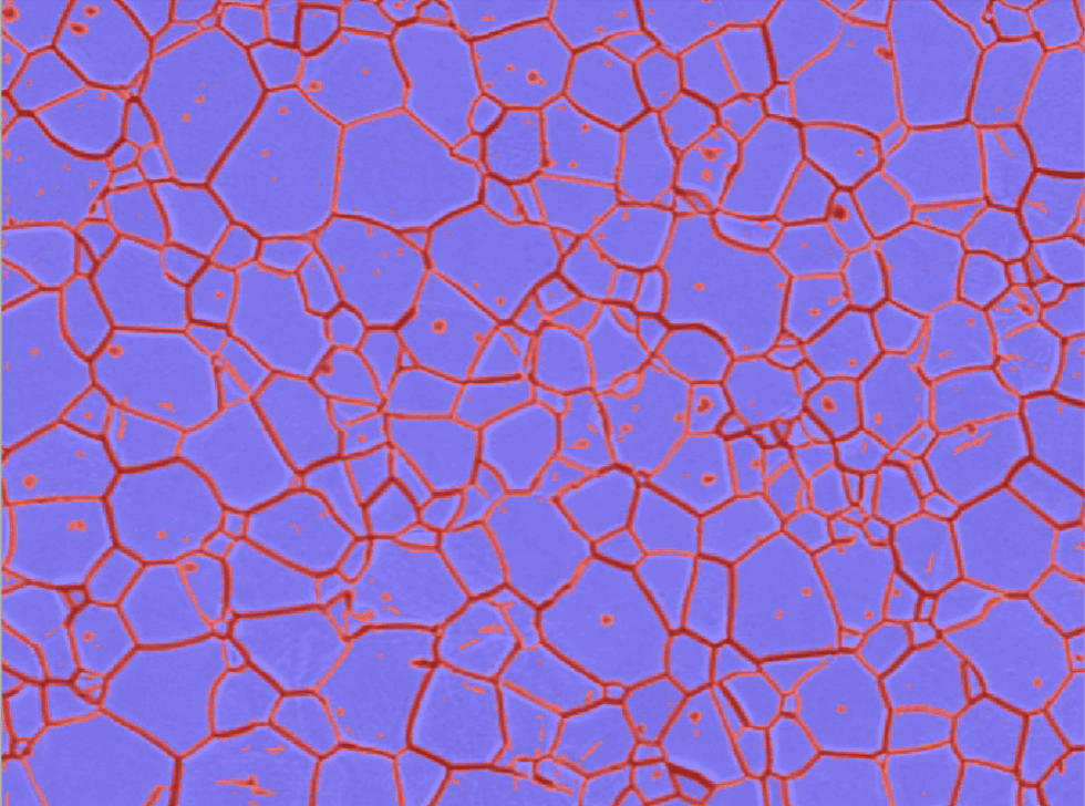 Clemex Studio for Metallography Applications: Grain Size