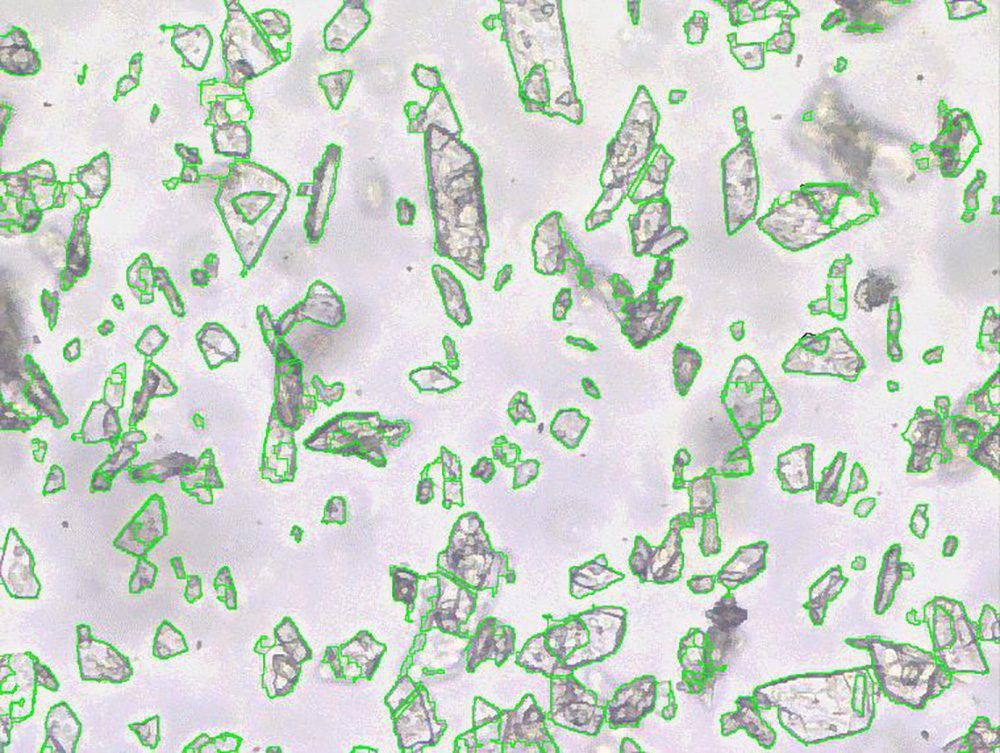 Pharmaceutical particles in oil