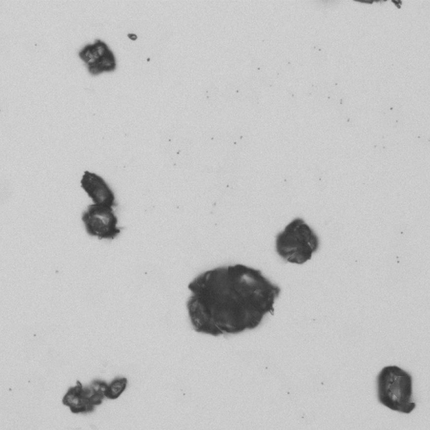 Paracetamol particle size analysis