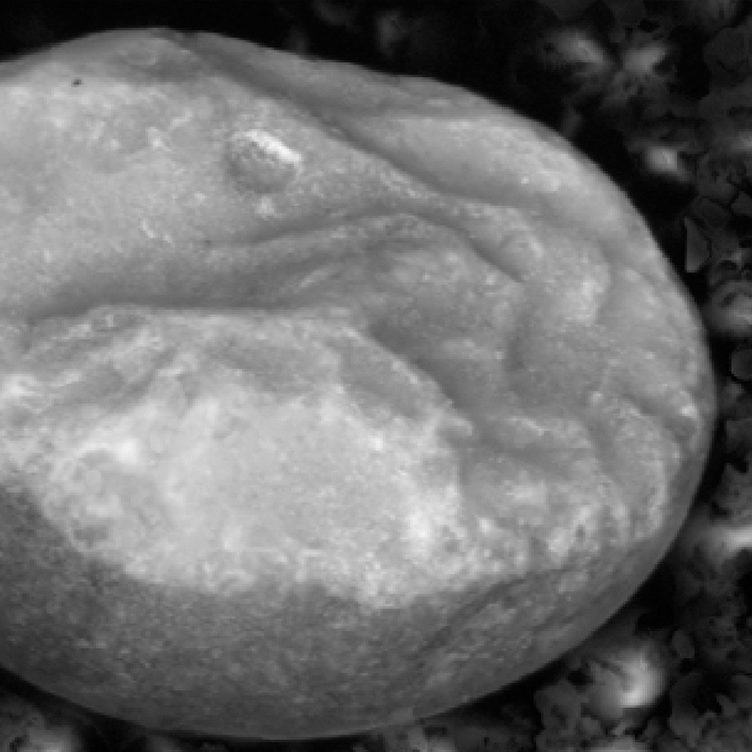 Ceramic Balls Morphology