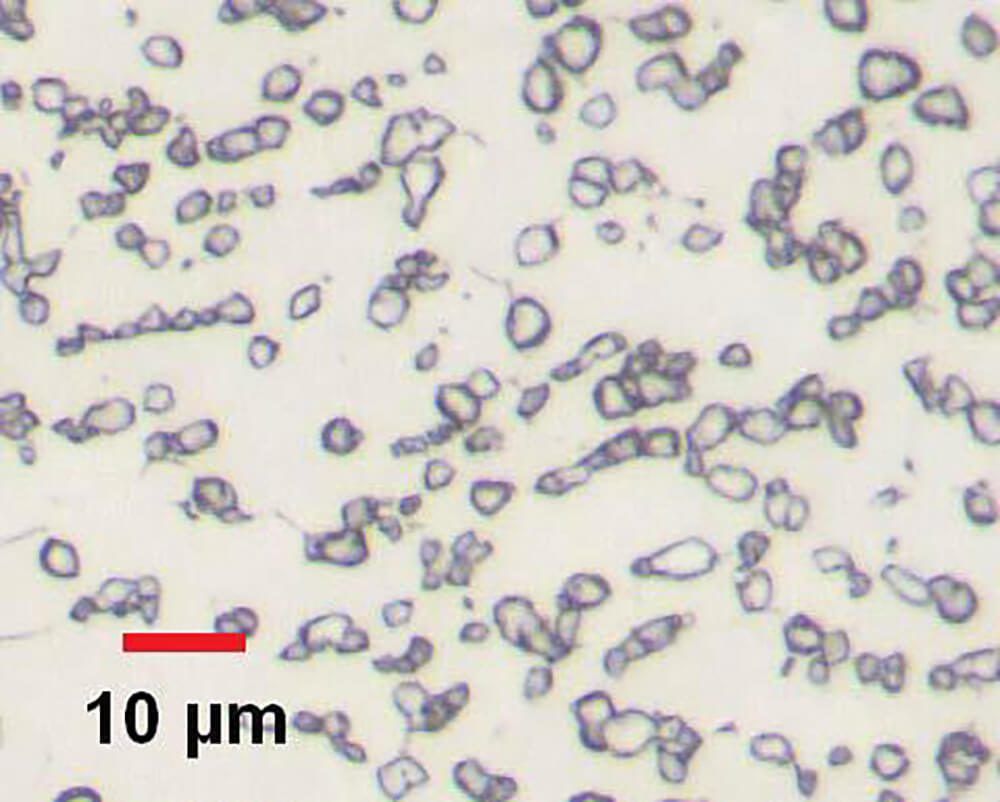 Carbides Analysis in Nickel-Based Alloy