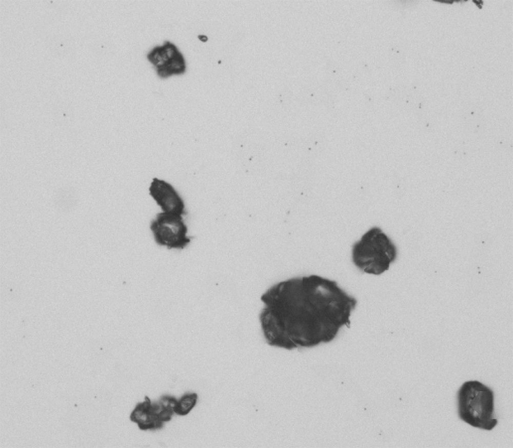 Paracetamol particle size analysis