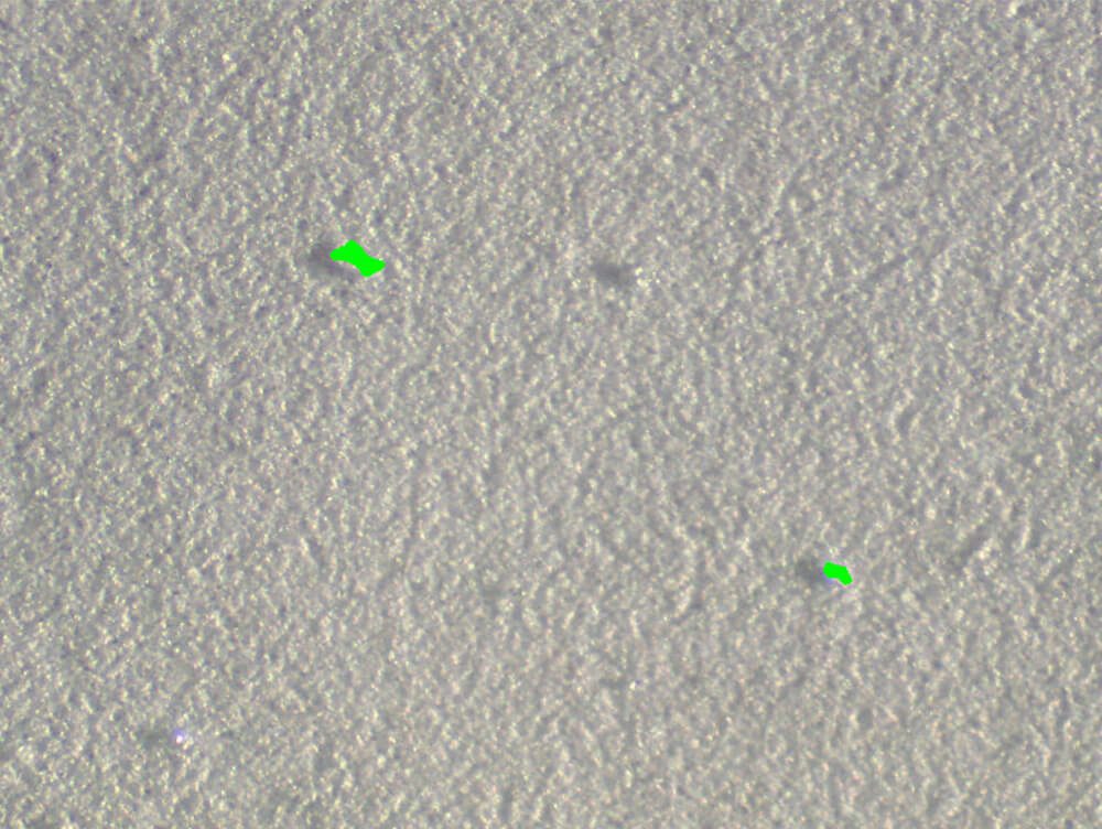 Membrane particulate count