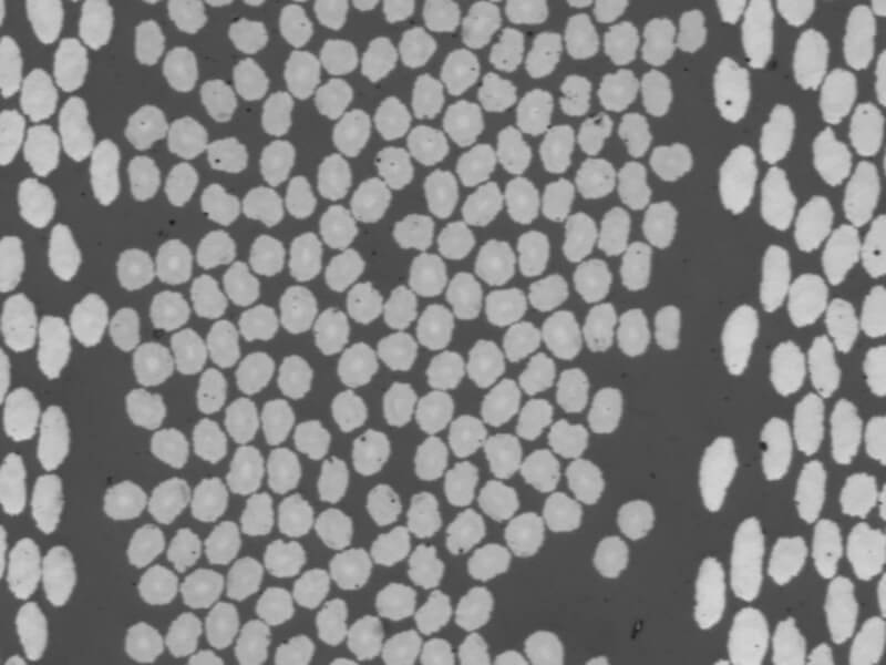 Fibers cross section