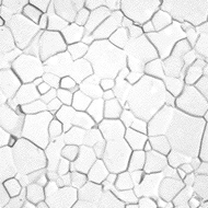 Titanium Alloys