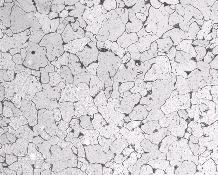 Pearlite and ferrite in steel