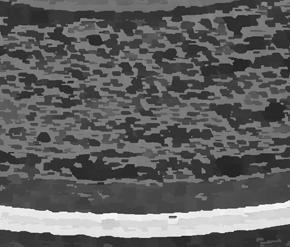 Coating characterization of silicon carbides