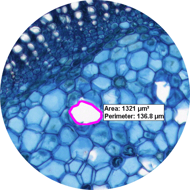 Direct measurements on various materials: