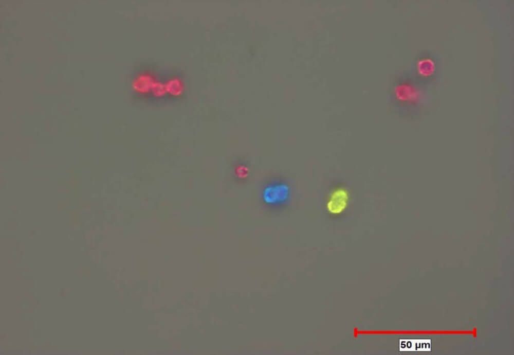 Toner particles size and shape