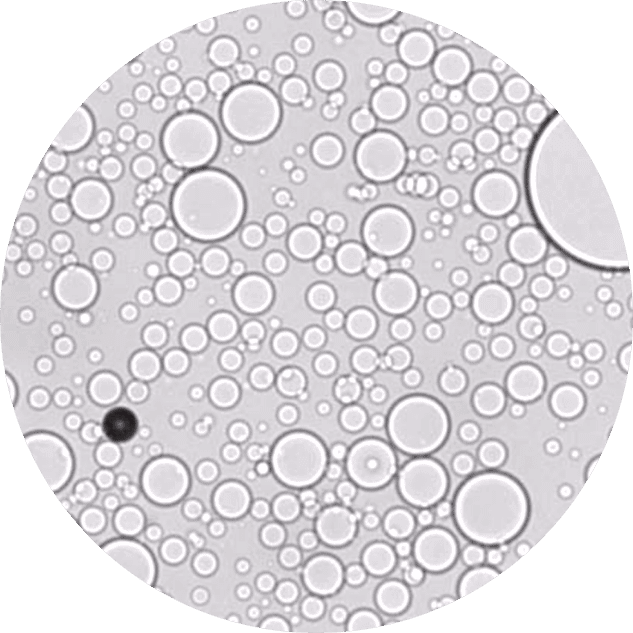 Image Analysis Applications for Pharmaceutical Particles