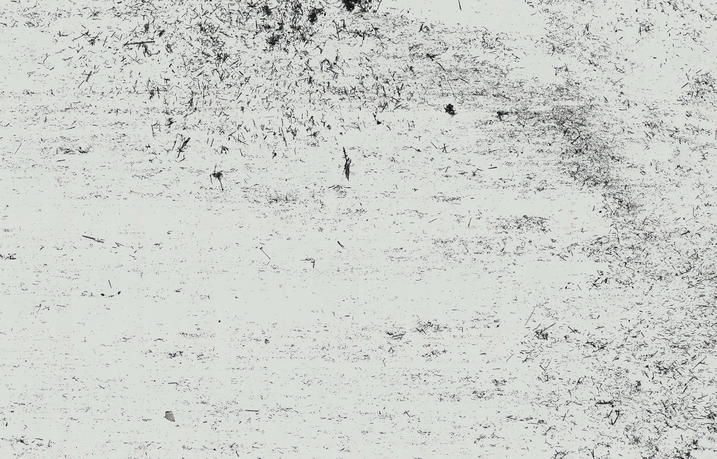 Undispersed particles