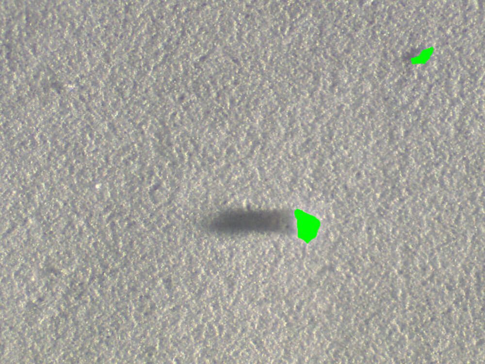 Membrane particulate count