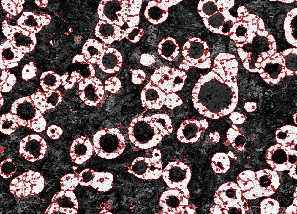 Nodularity and ferrite-pearlite analysis