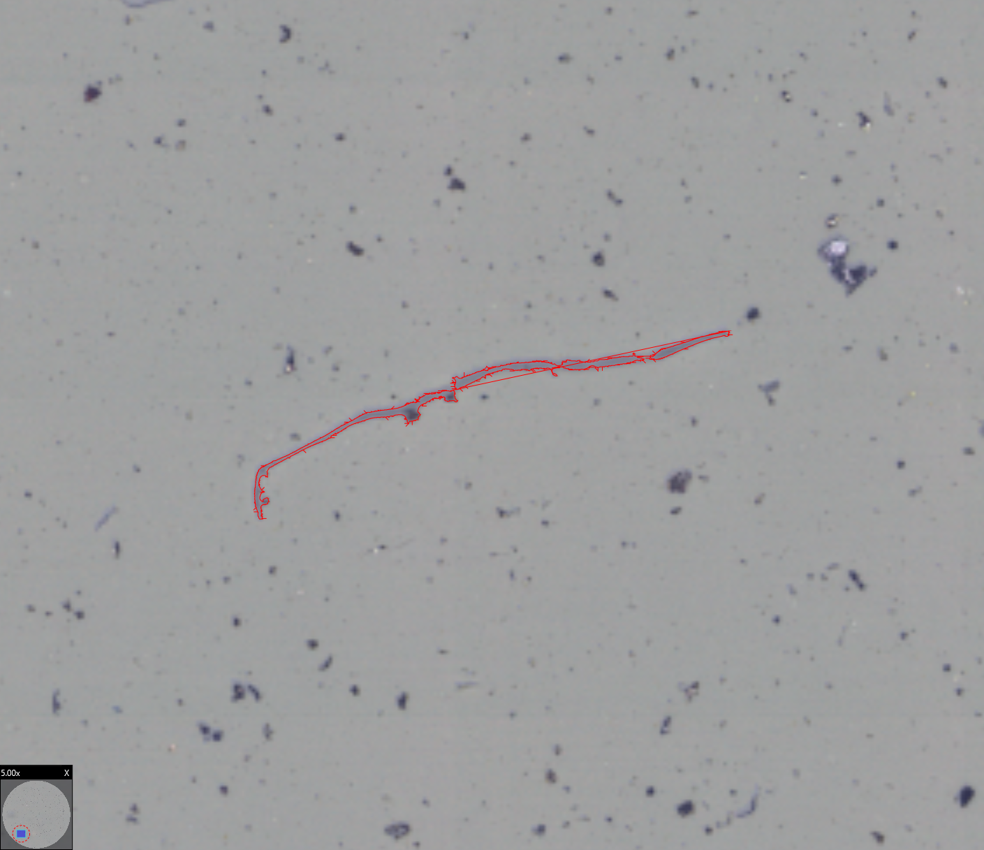 Fiber outlined by automated detection on a cleanliness filter