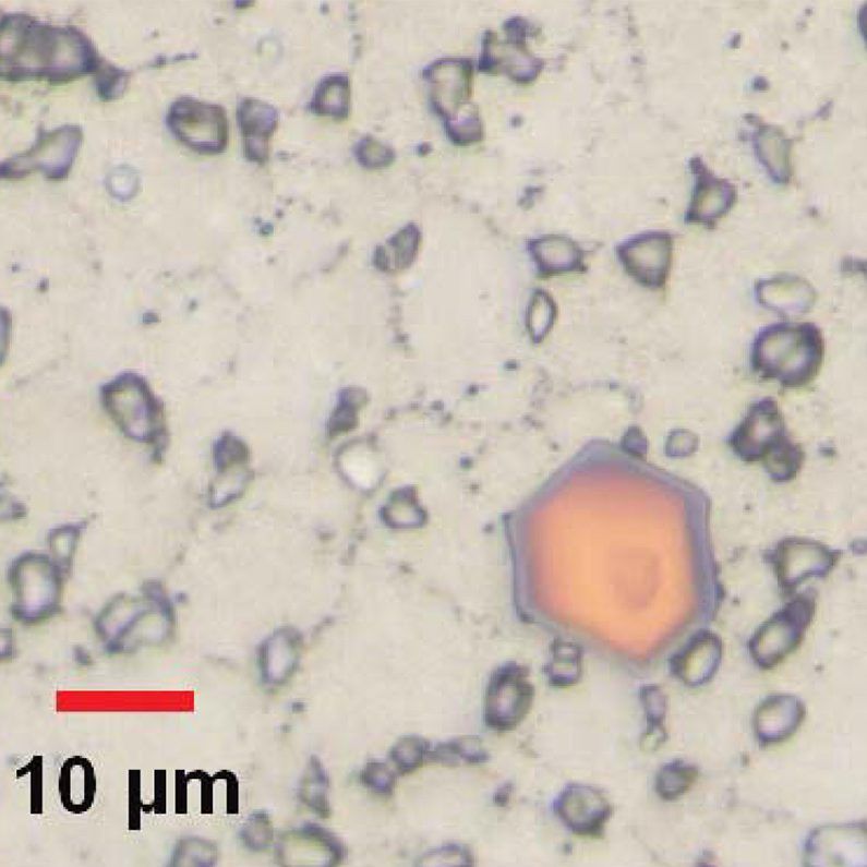 Carbides Analysis in Nickel-Based Alloy