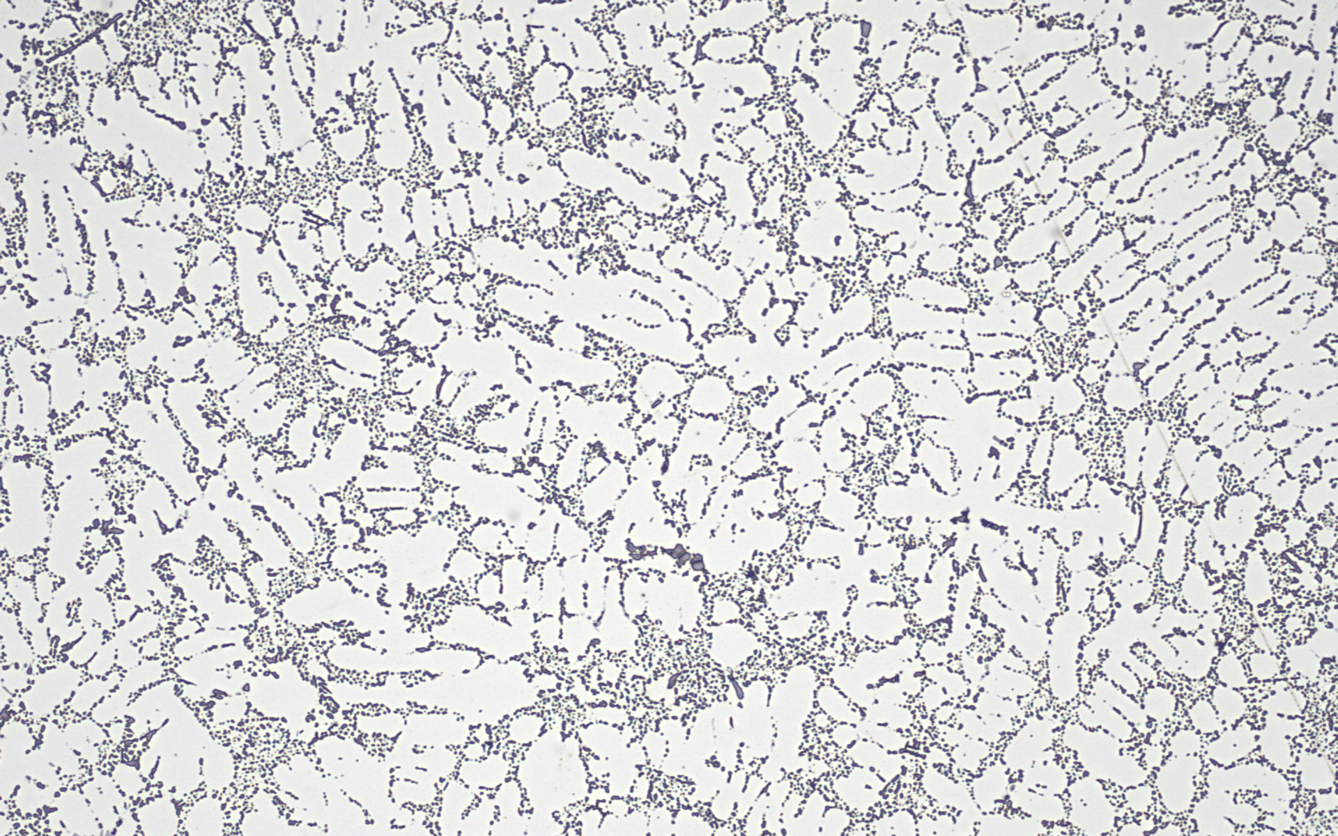 Animation of the Clemex Vision dendrite arm spacing module automatically detecting dendrites and overlaying concentric circles to measure mean linear dendrite spacing on a cast aluminum alloy