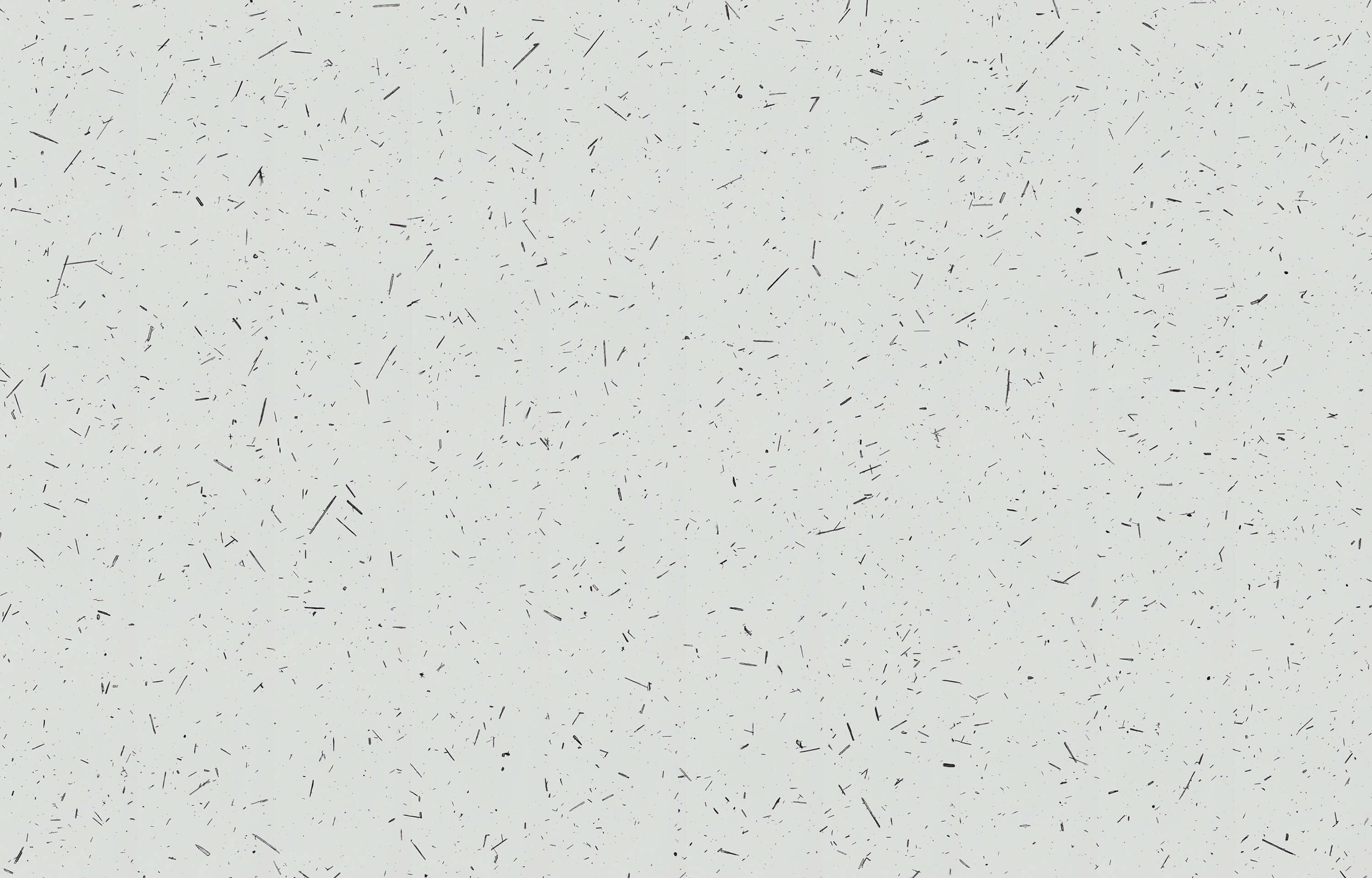 Automatically dispersed particles