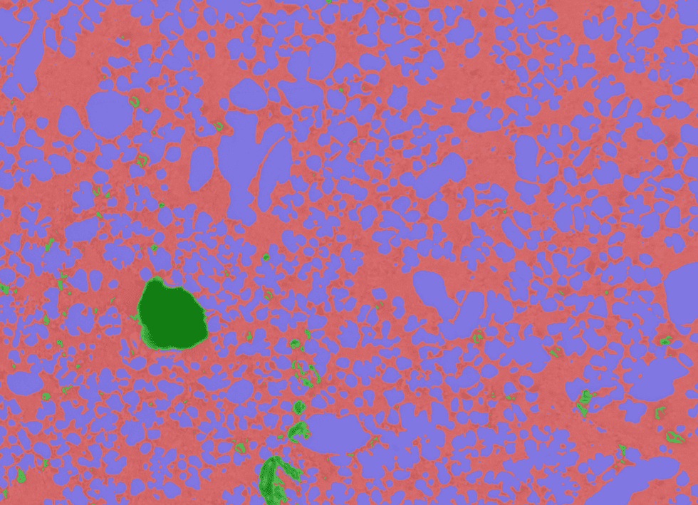 Image analysis for microscopy made simple with machine learning