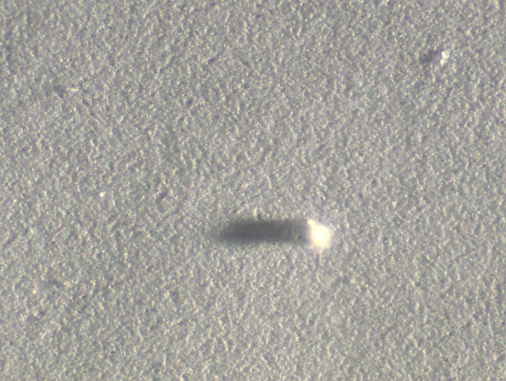 Membrane particulate count