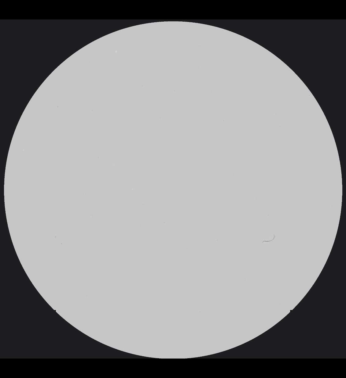 Particulate collected on a membrane filter from a fluid sample