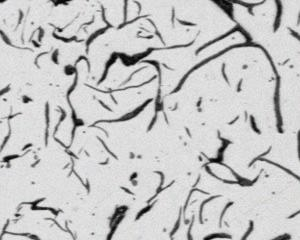 Gray cast iron flake detection animation
