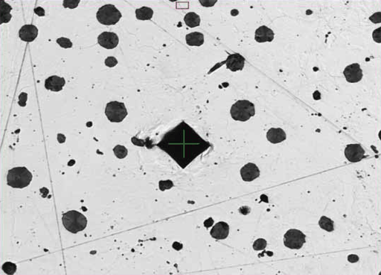 Nodularity and Vickers hardness detection