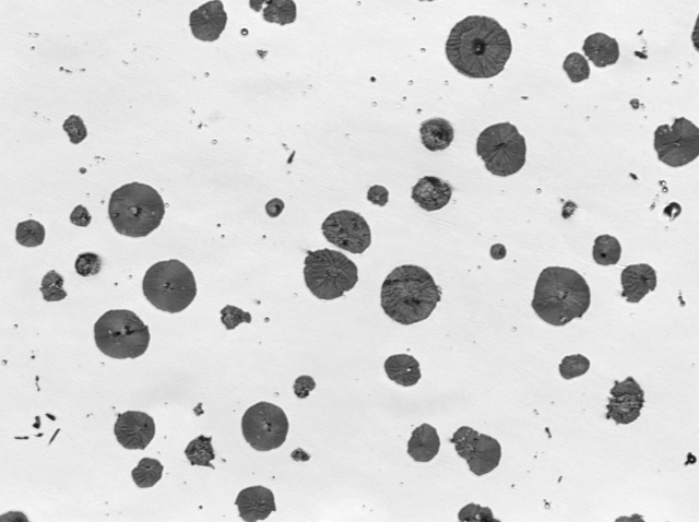 Nodularity detection animation