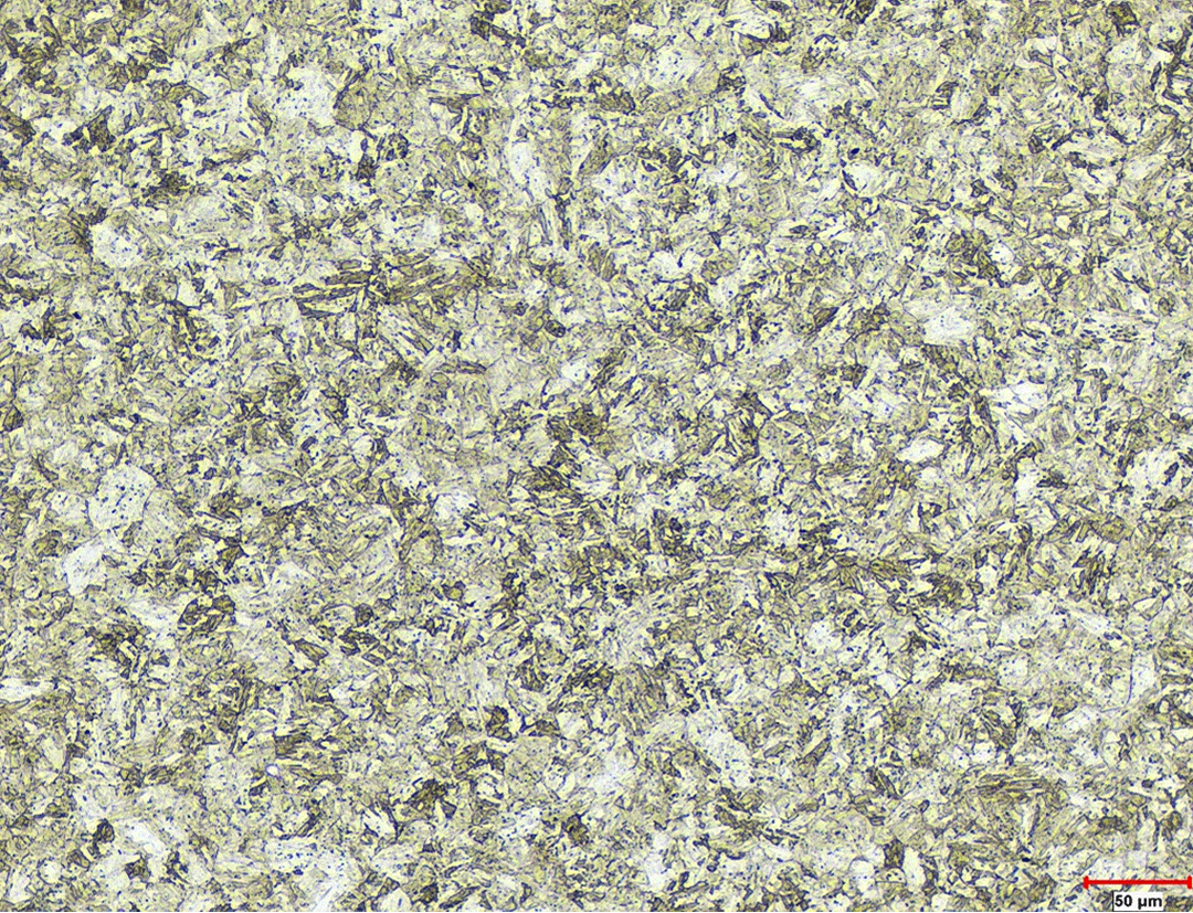 Martensitic grain structure at 50× — grain boundaries (red) detected using Clemex Vision Unlimited