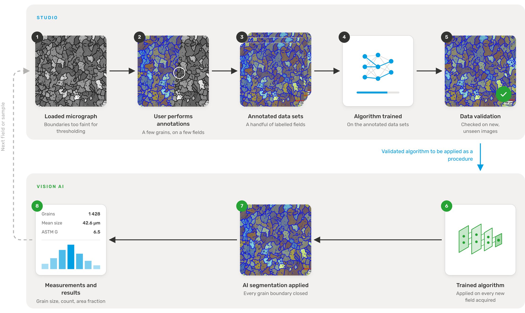 Eight-step workflow. In Studio: 1, a loaded aluminium alloy micrograph whose boundaries are too faint for thresholding; 2, the user annotates a few grains on a few fields; 3, a handful of labelled data sets; 4, the algorithm is trained on them; 5, data validation on new, unseen images. The validated algorithm is handed off once to Vision AI, where: 6, the trained algorithm is applied to every newly acquired field; 7, AI segmentation closes every grain boundary; 8, measurements are reported — grain count, mean size and ASTM G number with a size distribution. A dashed line loops back to step 1 for the next field or sample.