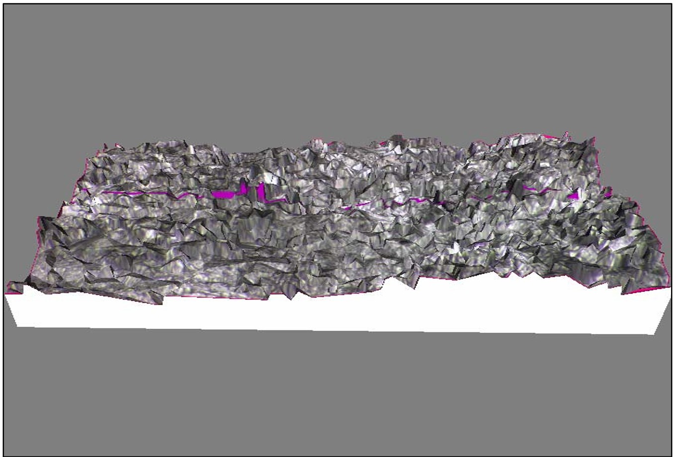 Linear roughness profile traced across a 3D surface reconstruction