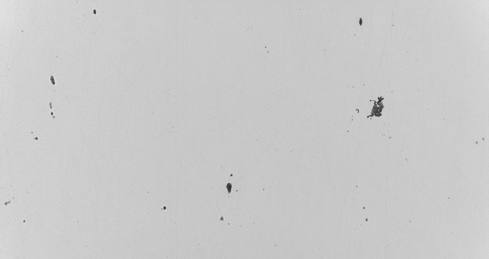 Non-metallic inclusions in steel — microscopy analysis