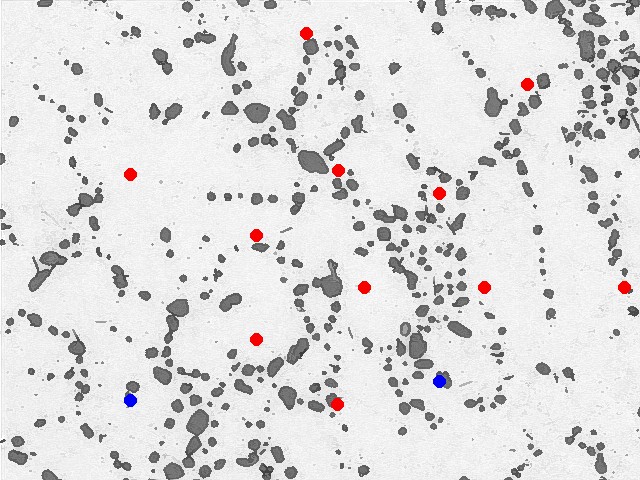 Two-phase microstructure with an automated radial test grid point count overlay