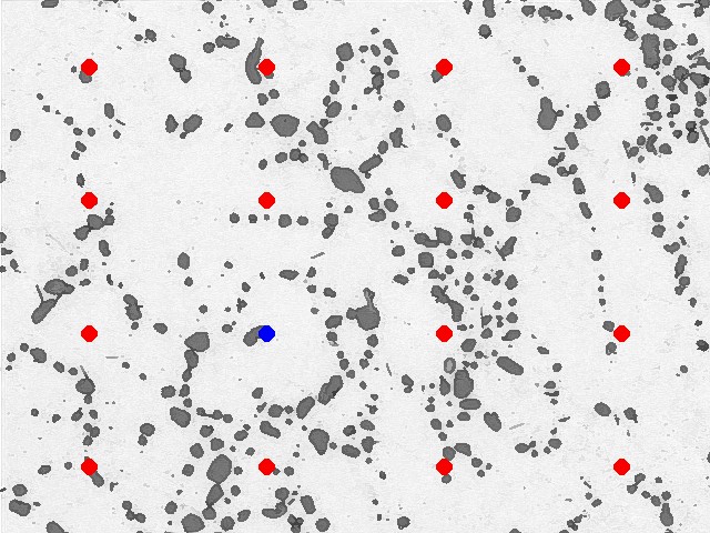 Two-phase microstructure with an automated square test grid point count overlay