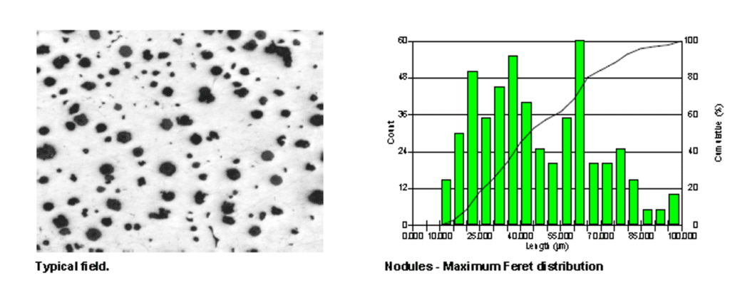 Iron analysis webinar — ASTM E2567 nodularity by image analysis